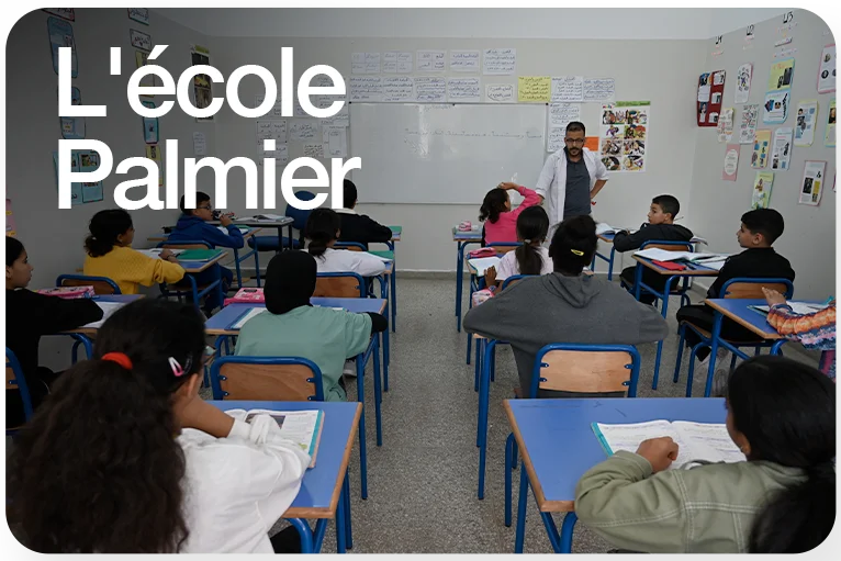 Ecole palmier